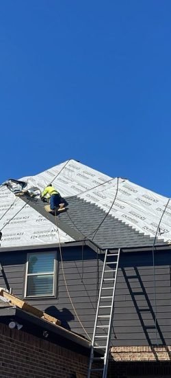 frog-roofing-roof-maintenance